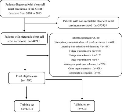 Development and validation of a prognostic nomogram for predicting cancer-specific survival in patients with metastatic clear cell renal carcinoma: A study based on SEER database